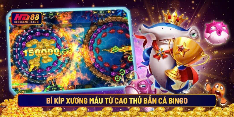 Cách Chơi Bắn Cá Bingo HD88 Luôn Thắng 5 Bí kíp xương máu từ cao thủ bắn cá Bingo