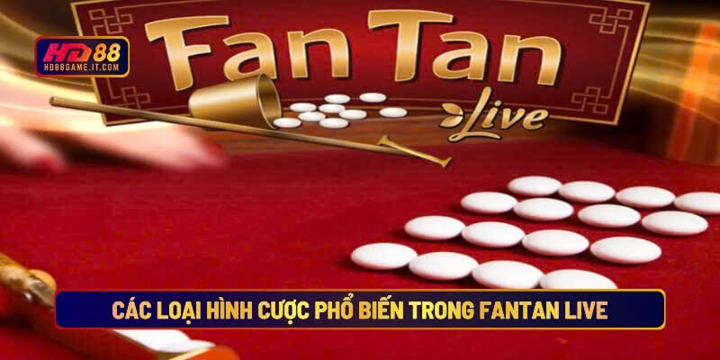 Fantan Live Hd88 - Bắt Cầu Siêu Chuẩn, Hốt Bạc Mỗi Ván 4 Các loại hình cược phổ biến trong fantan live